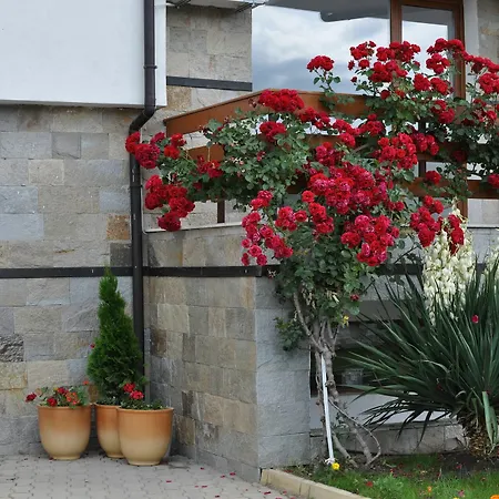 Hotel Gardenia Hills 3*